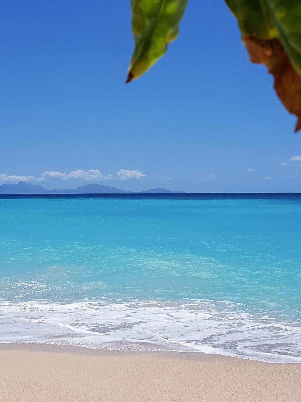 Dickenson Bay Oasis At Antigua Village St. John's Екстер'єр фото