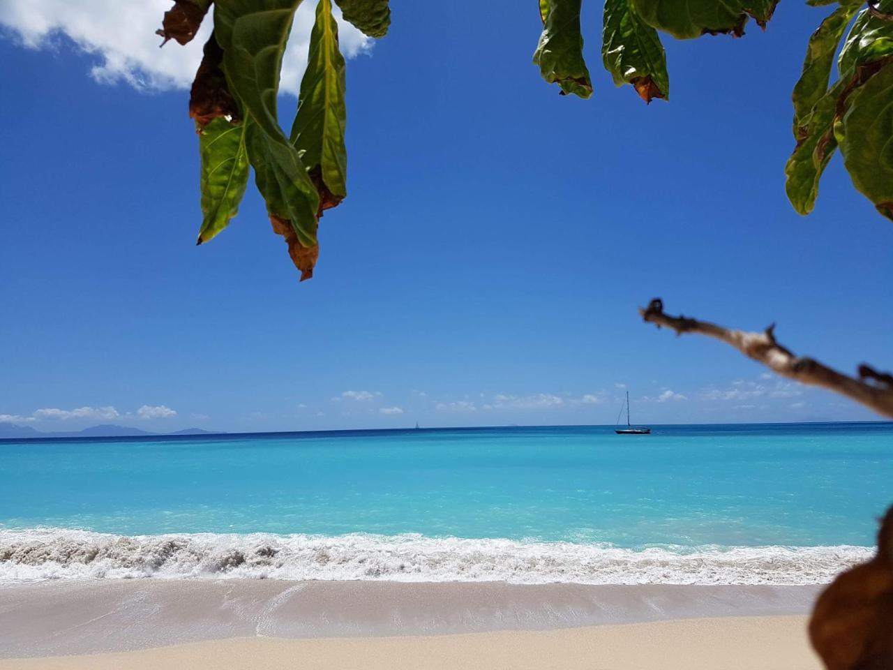 Dickenson Bay Oasis At Antigua Village St. John's Екстер'єр фото