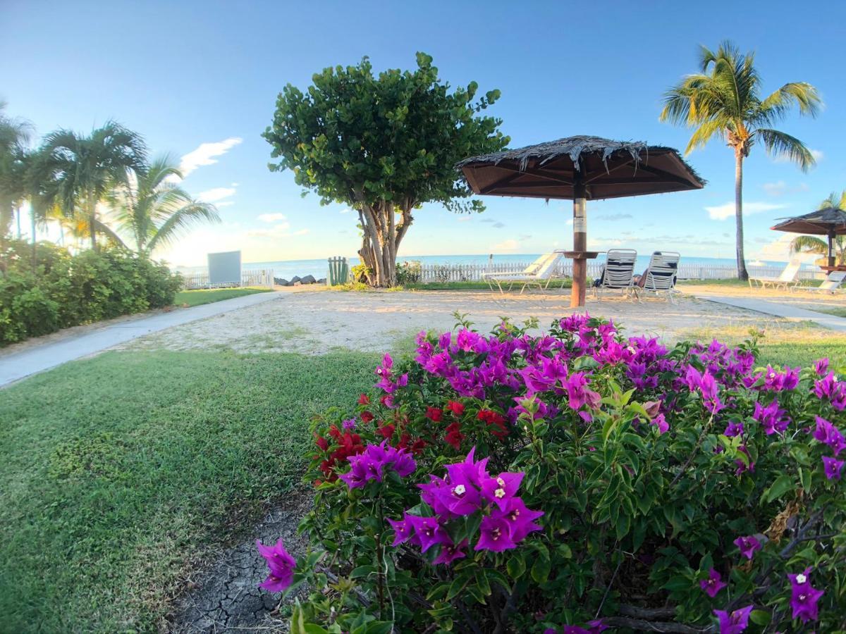 Dickenson Bay Oasis At Antigua Village St. John's Екстер'єр фото